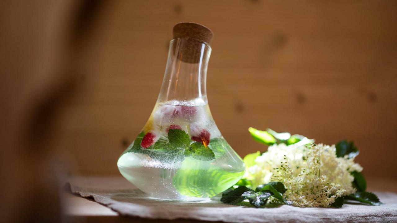 Natura Boutique Chalet Wellness Spa Добиако Екстериор снимка